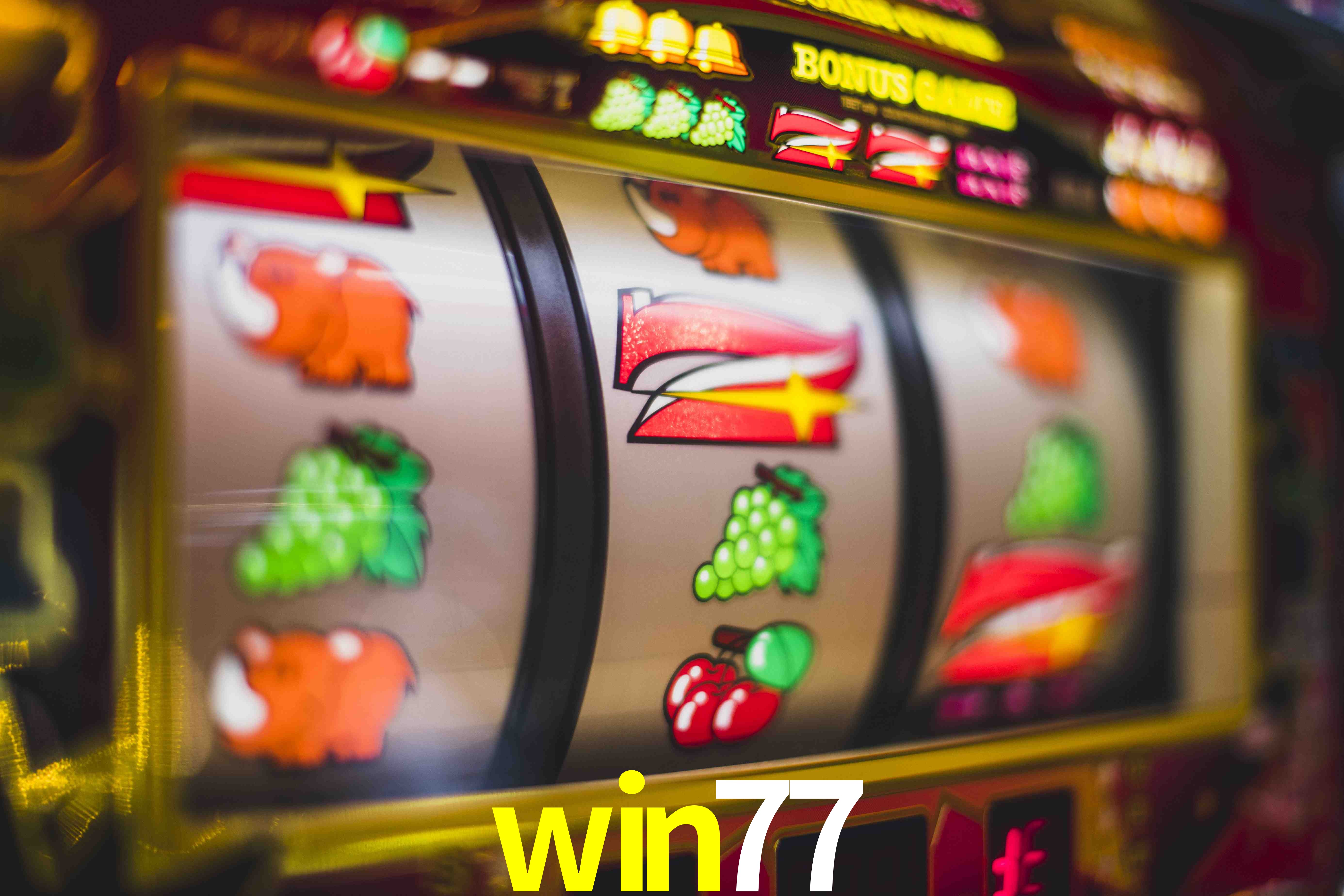 Sports Statistics win77